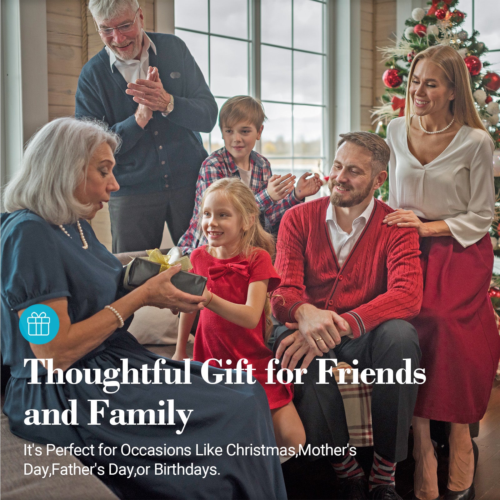 Shiatsu Low Back Massager - CPL-2243